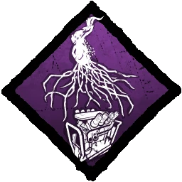 Eruption